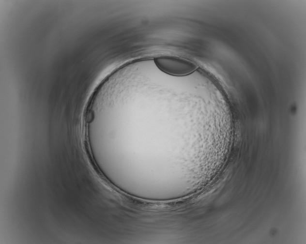 X0000098041467200803280743