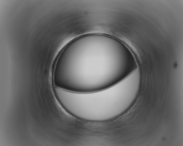 X0000098041468200803280743