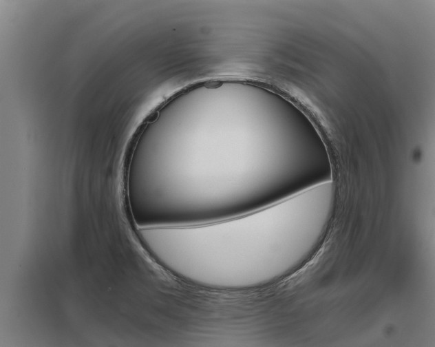 X0000098041469200803280743