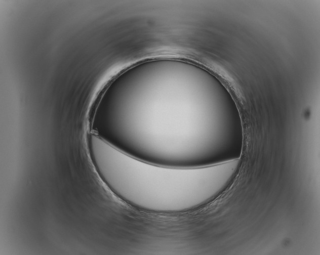 X0000098041472200803280743