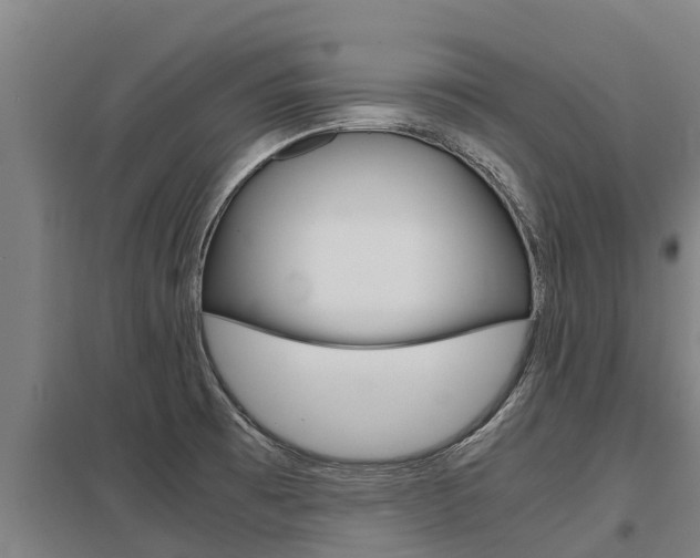 X0000098041473200803280743