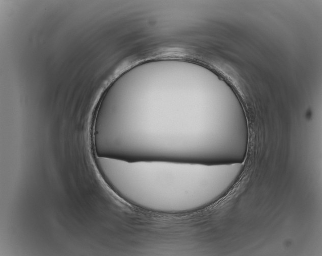 X0000098041475200803280743