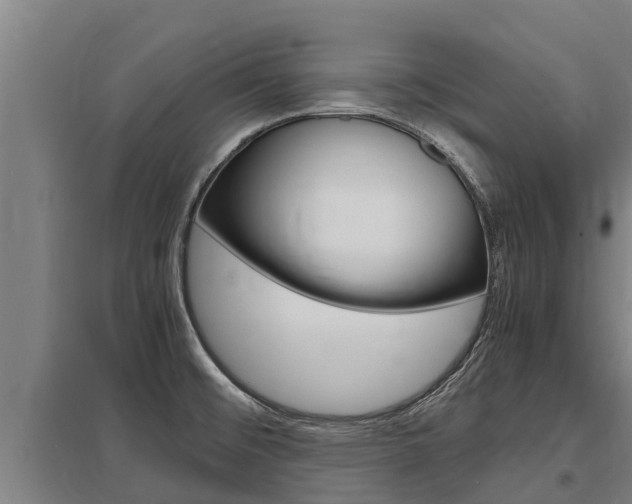 X0000098041476200803280743