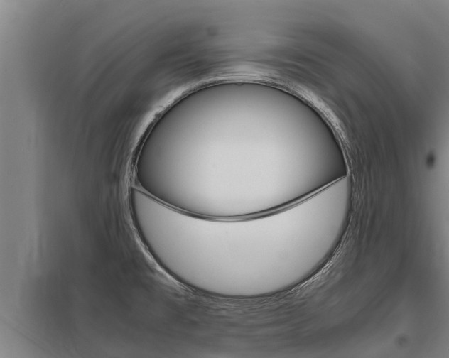 X0000098041477200803280742