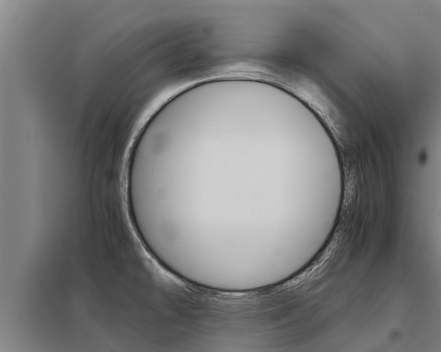 X0000098041478200803280742