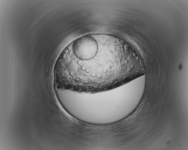 X0000098041479200803280742