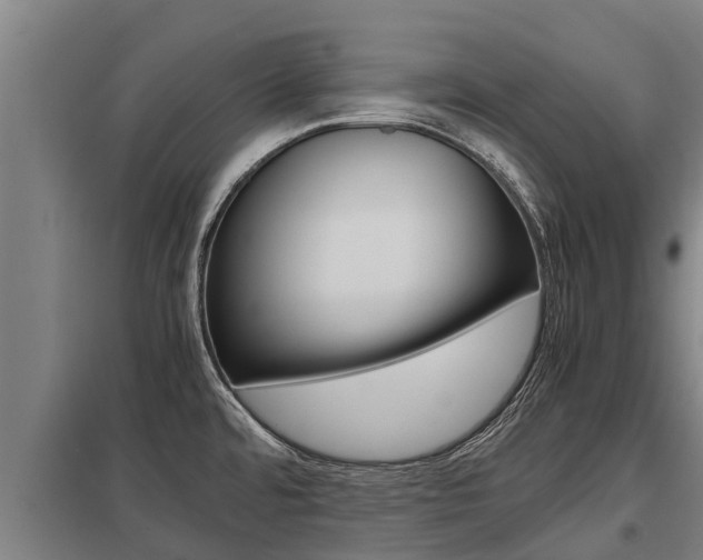 X0000098041480200803280742