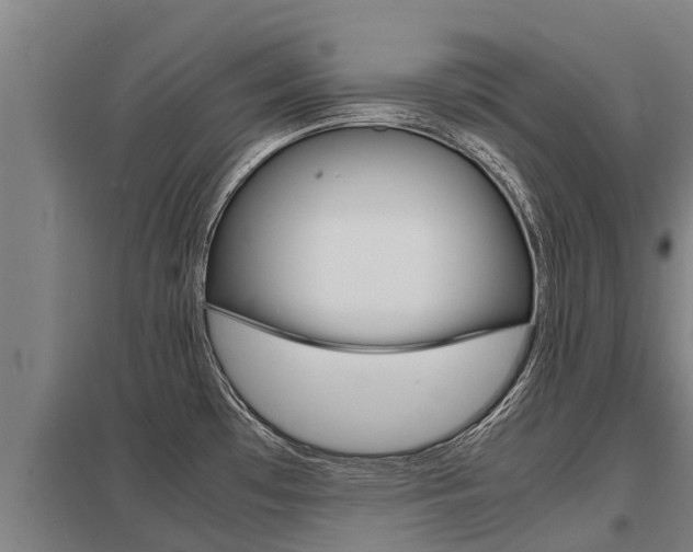 X0000098041481200803280742
