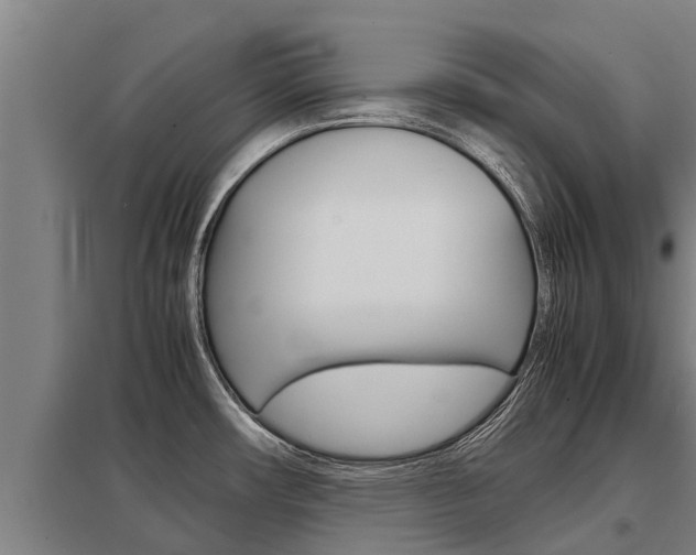X0000098041482200803280742