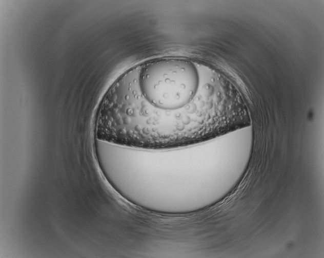 X0000098041483200803280742