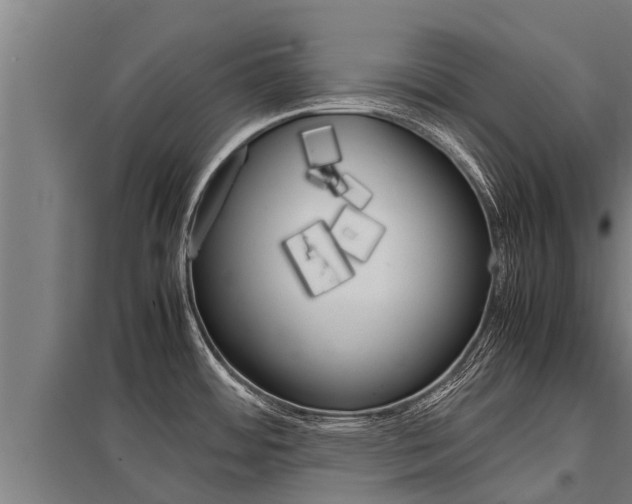 X0000098041484200803280742