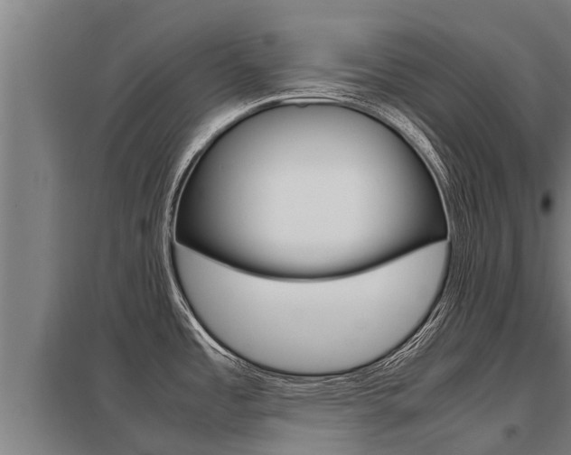 X0000098041485200803280742