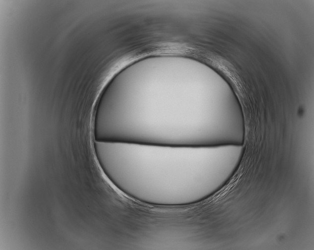 X0000098041487200803280742