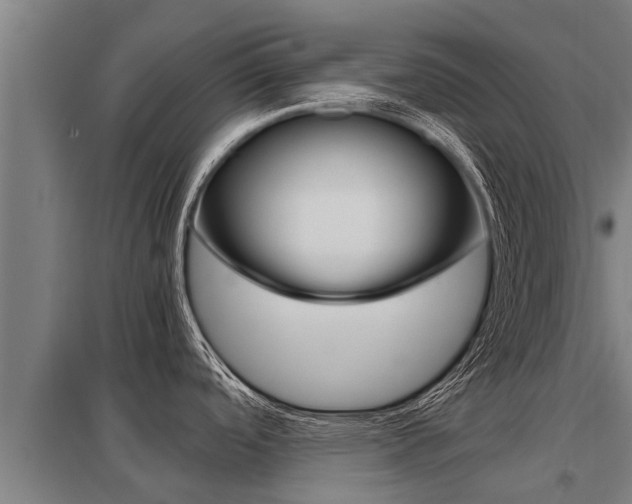 X0000098041488200803280742