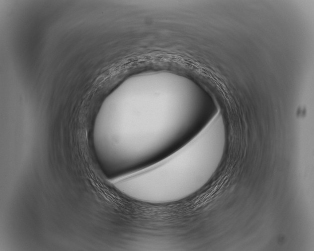 X0000098041489200803280742