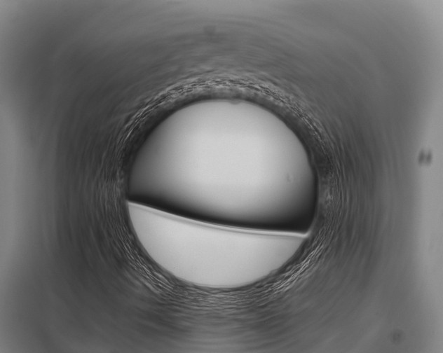 X0000098041490200803280742