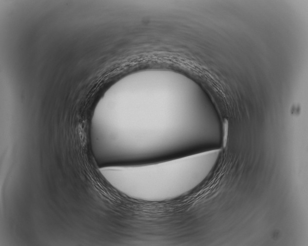 X0000098041491200803280742