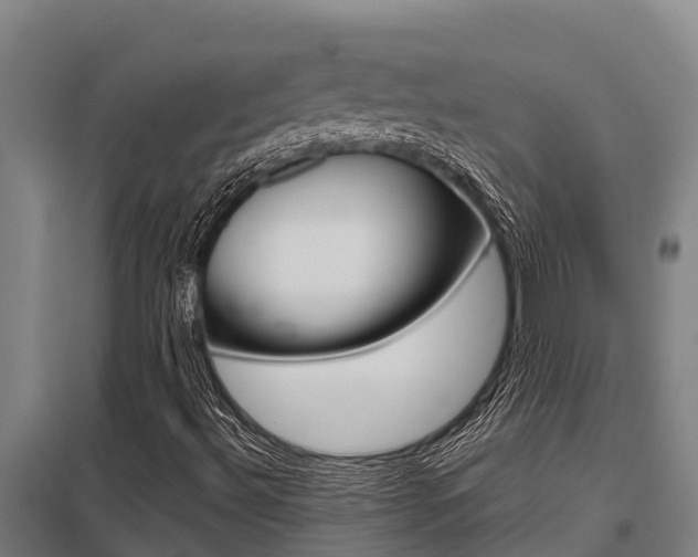 X0000098041492200803280742