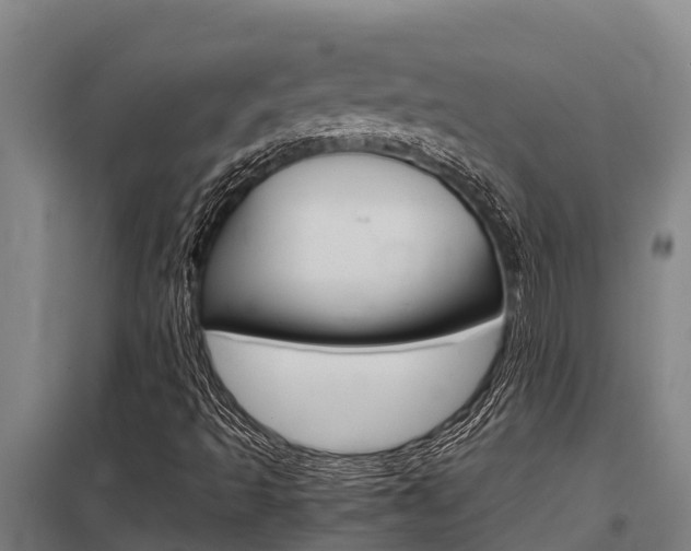 X0000098041493200803280742