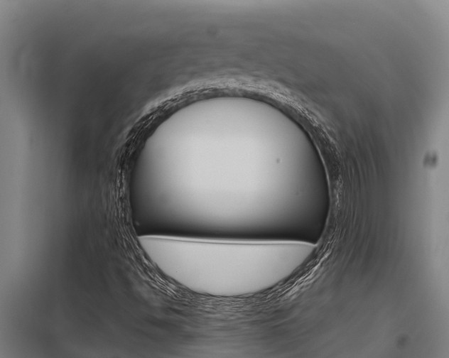 X0000098041494200803280742