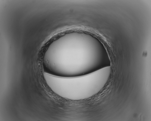 X0000098041496200803280742