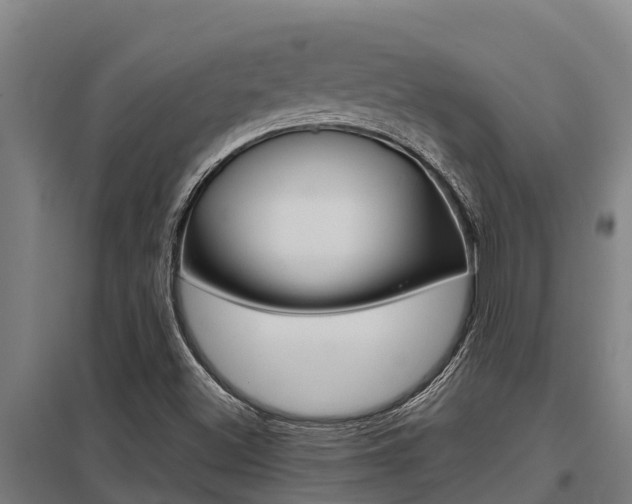 X0000098041500200803280742