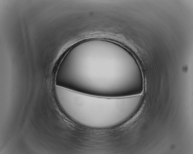 X0000098041501200803280742