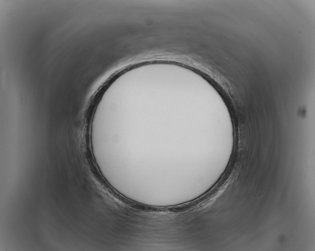 X0000098041502200803280742