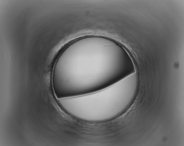 X0000098041503200803280742