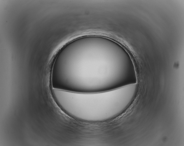 X0000098041504200803280742