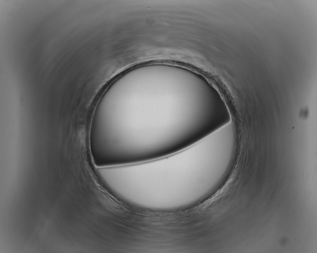 X0000098041505200803280742