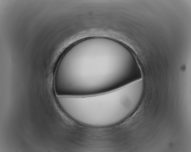 X0000098041507200803280742