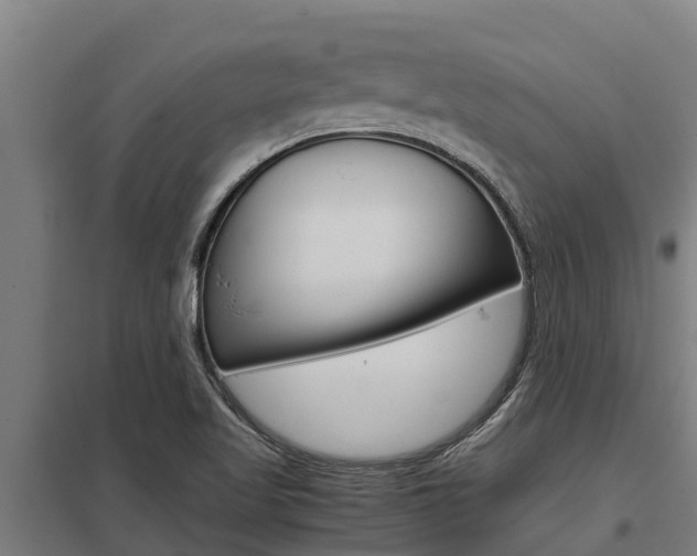 X0000098041509200803280742
