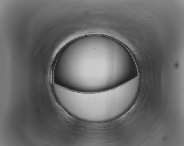X0000098041510200803280742