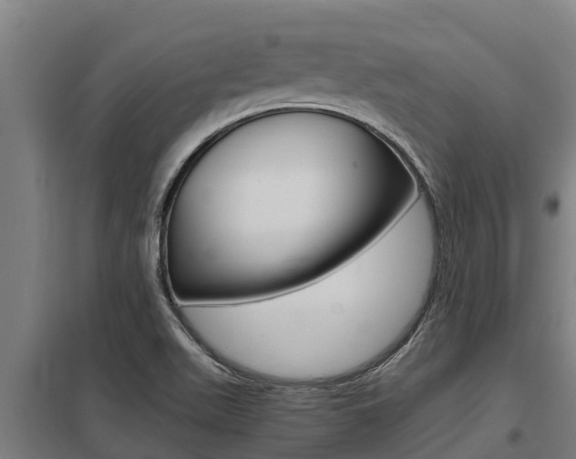 X0000098041511200803280742