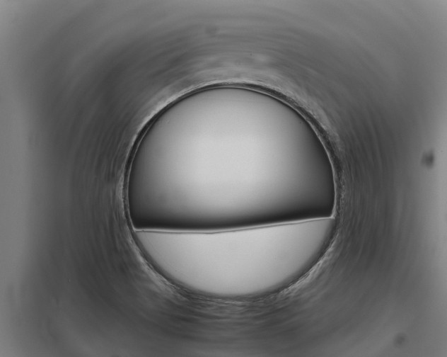 X0000098041513200803280742