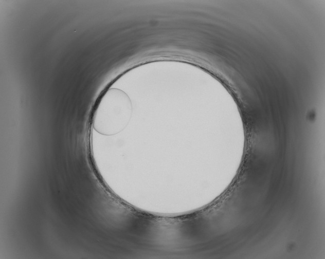 X0000098041514200803280742