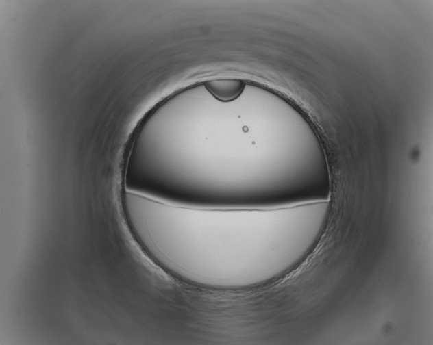 X0000098041518200803280742
