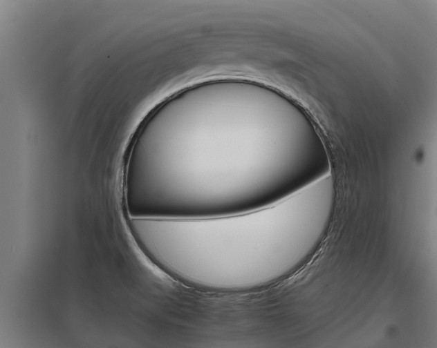 X0000098041519200803280742