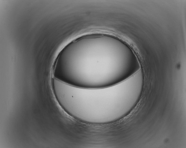 X0000098041520200803280742