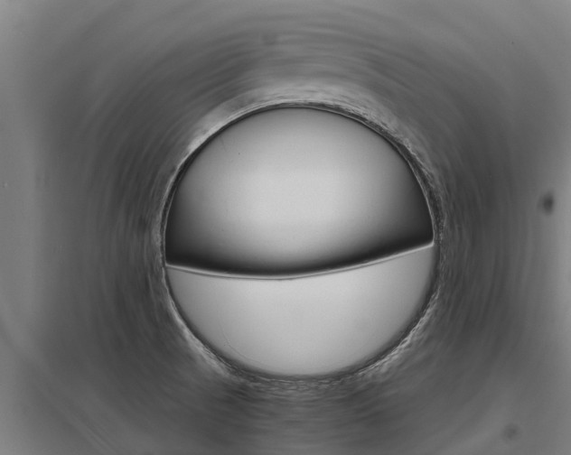 X0000098041521200803280742