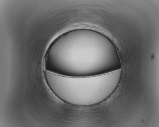 X0000098041522200803280742