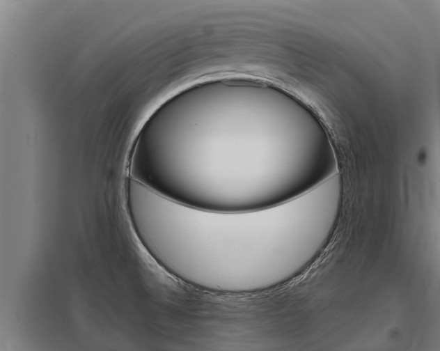 X0000098041524200803280742