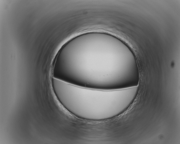 X0000098041526200803280742