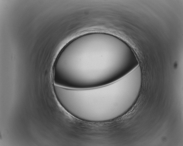 X0000098041527200803280742