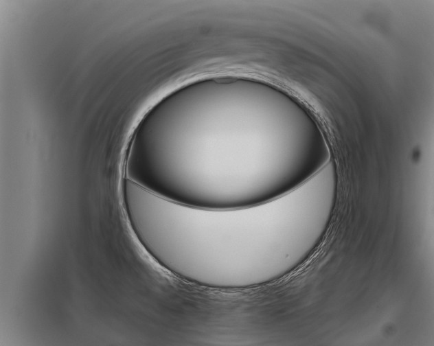 X0000098041528200803280742