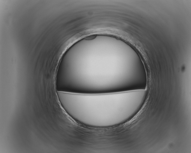 X0000098041529200803280742