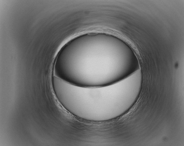 X0000098041530200803280742