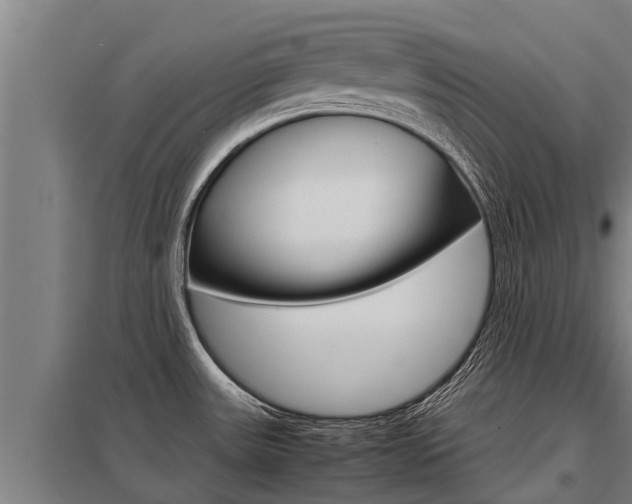 X0000098041531200803280742