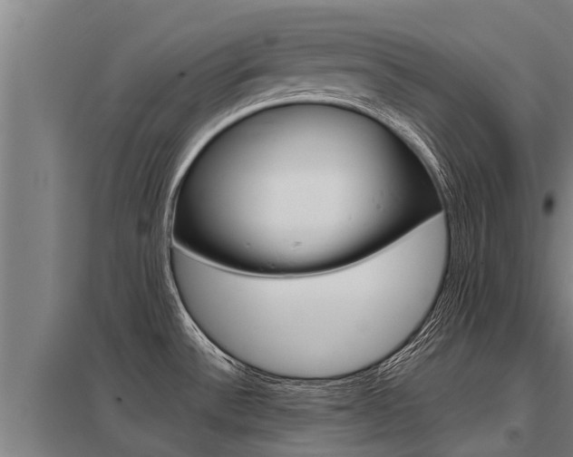 X0000098041532200803280742